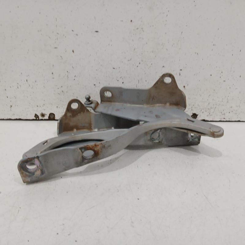 bonnet hinge/strut