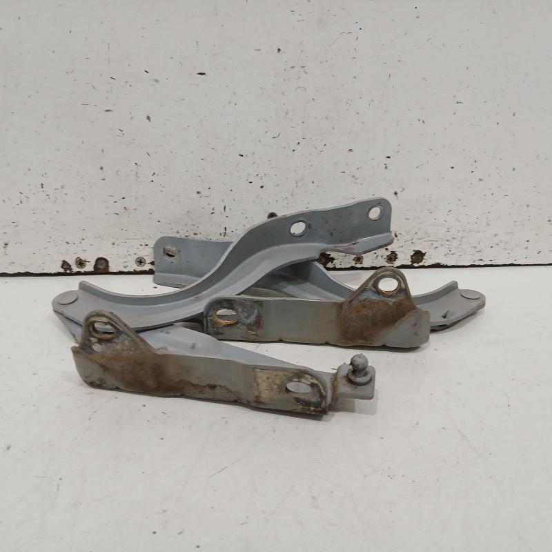 bonnet hinge/strut