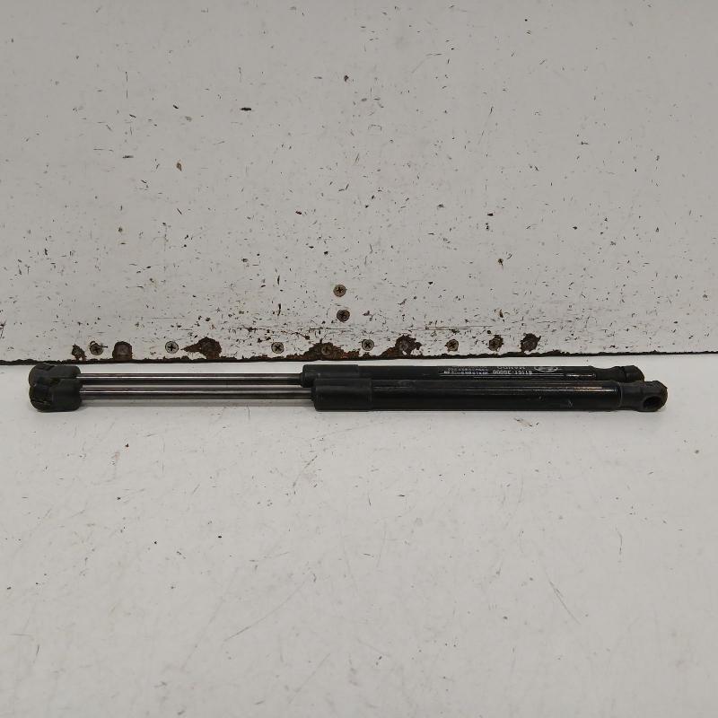 bonnet hinge/strut