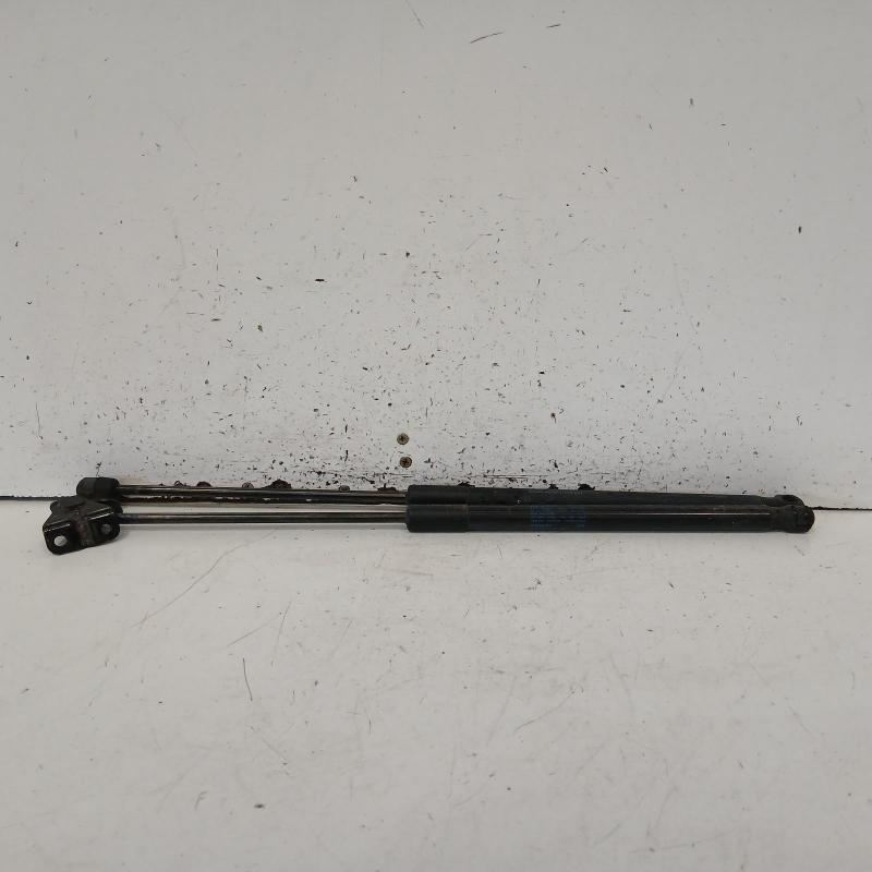 hatch strut