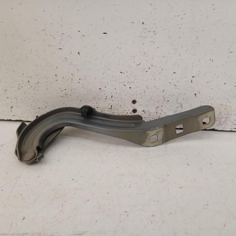 bonnet hinge/strut