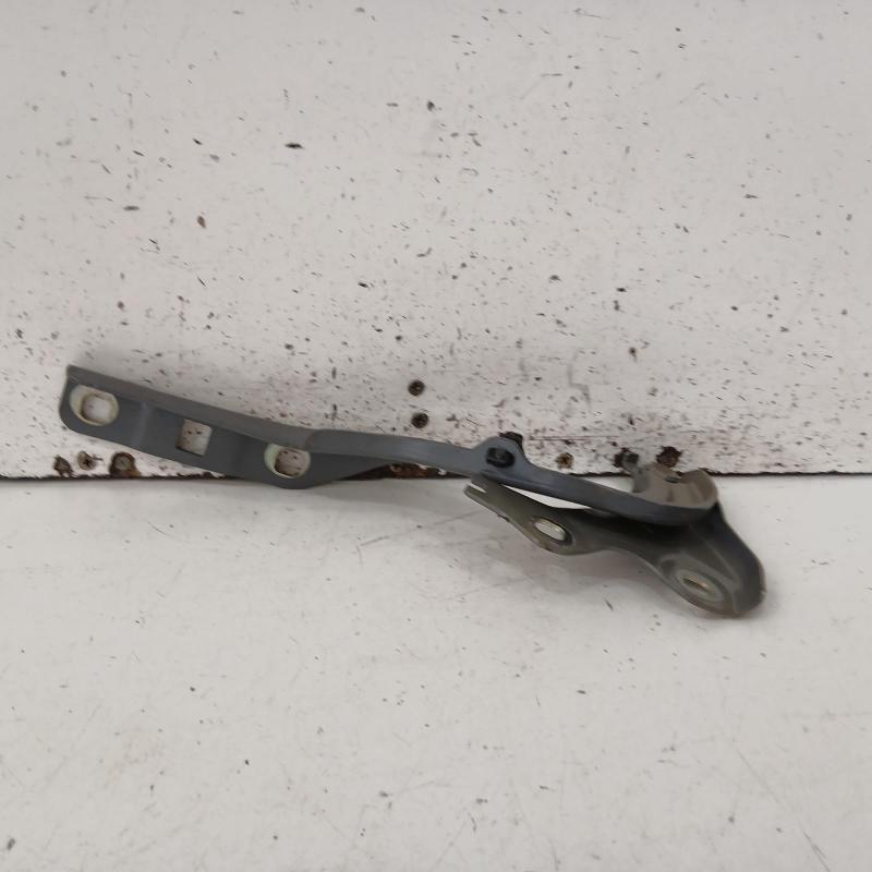 bonnet hinge/strut