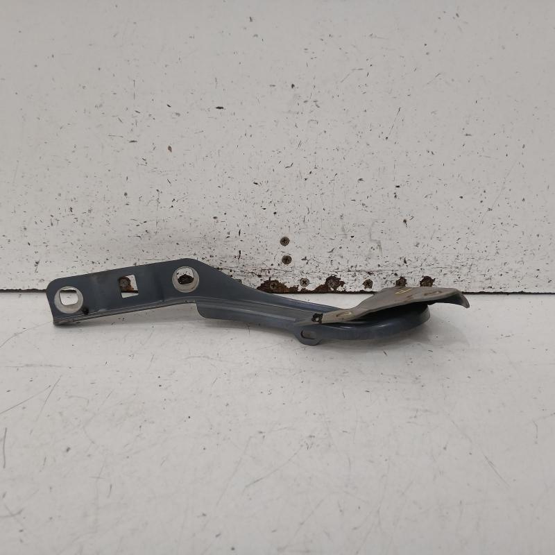 bonnet hinge/strut