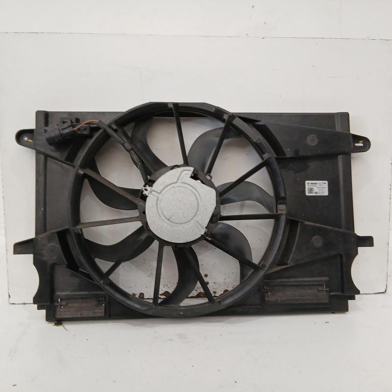 fan