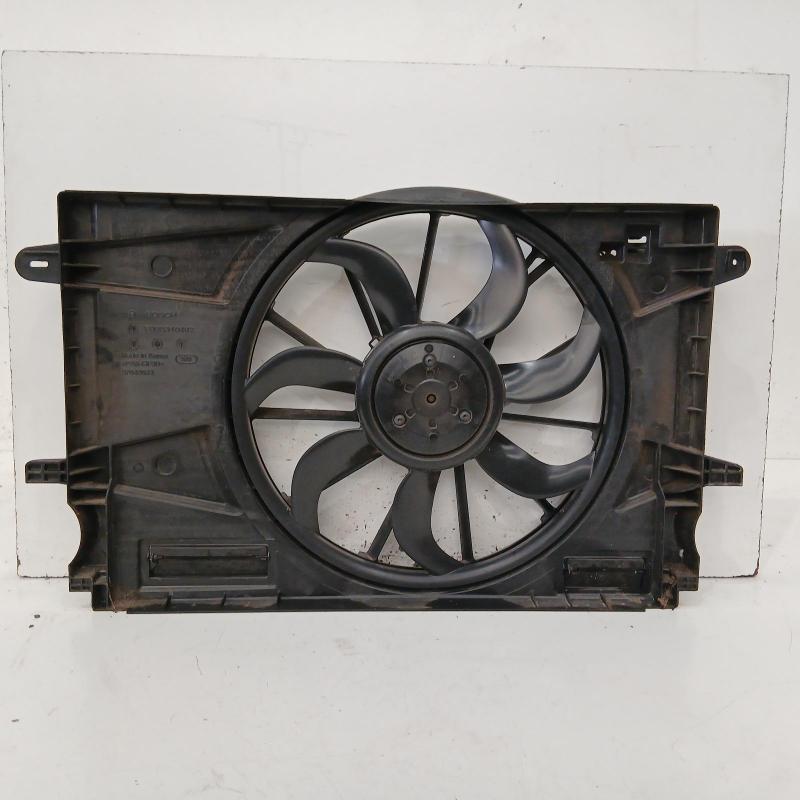 fan