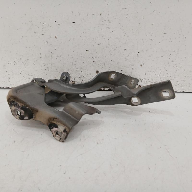 bonnet hinge/strut