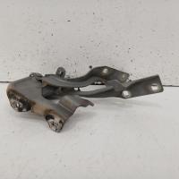 bonnet hinge/strut