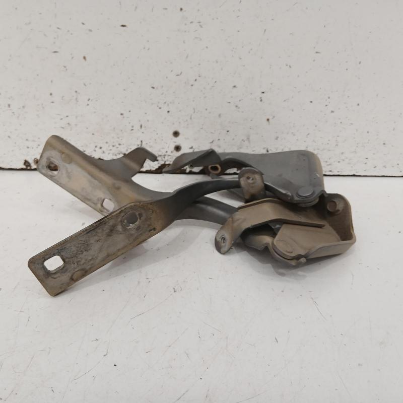 bonnet hinge/strut