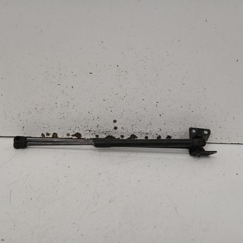 bonnet hinge/strut