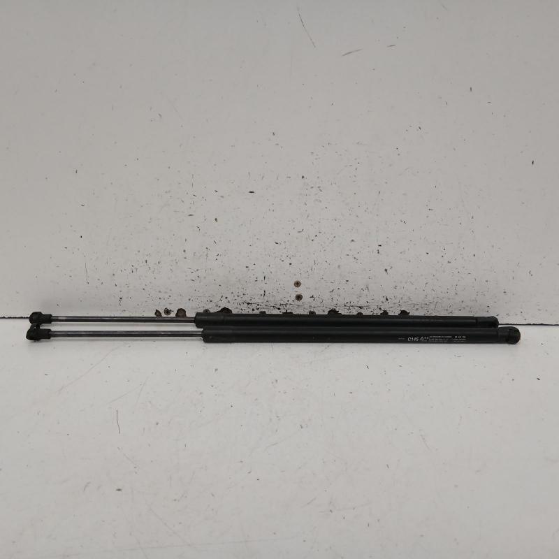 hatch strut