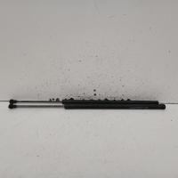hatch strut