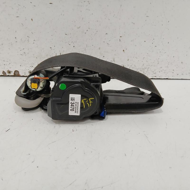 seat belt stalk