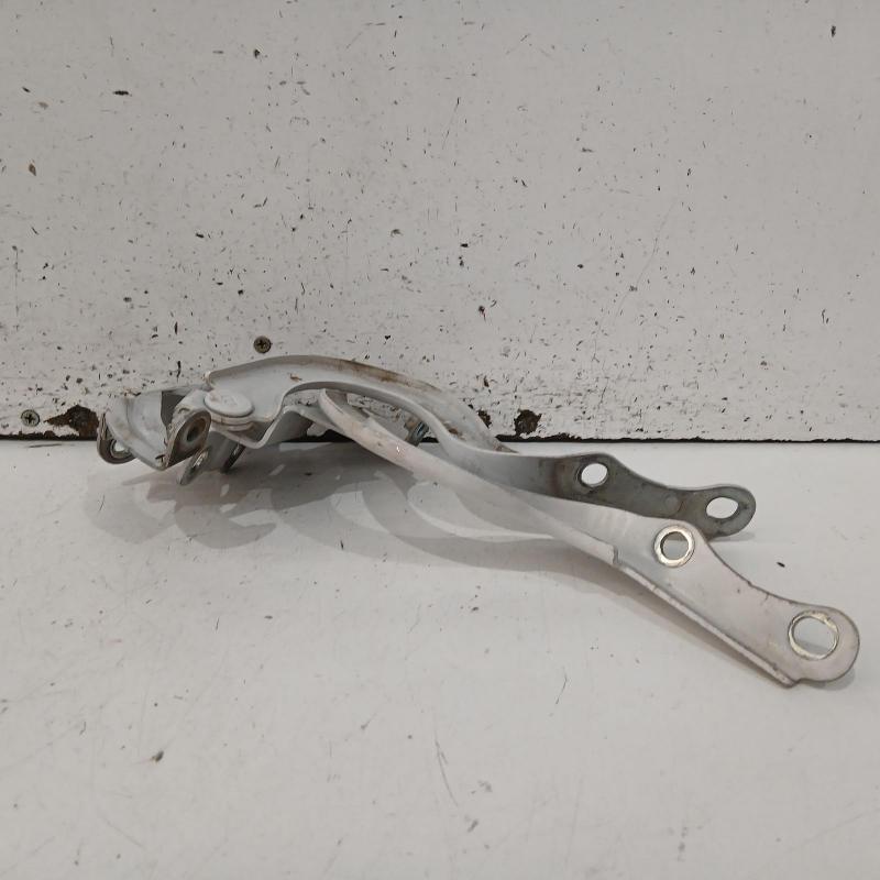 bonnet hinge/strut