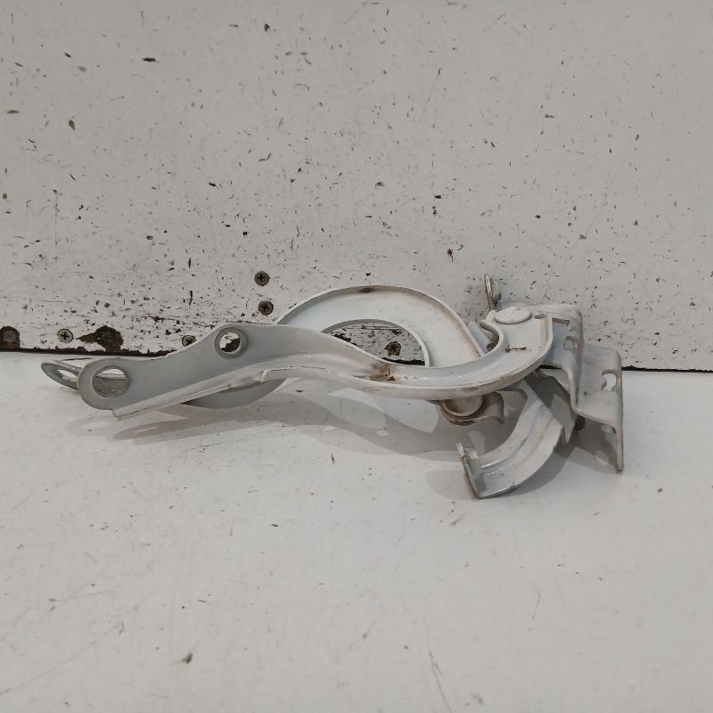 bonnet hinge/strut