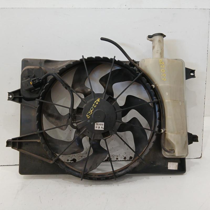 fan