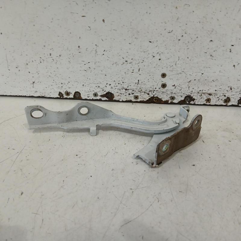 bonnet hinge/strut