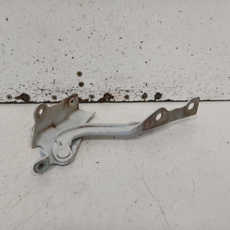 bonnet hinge/strut