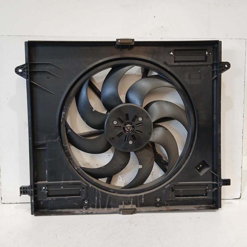 fan