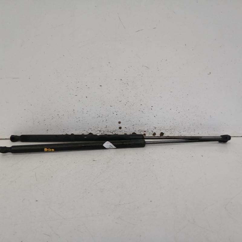 hatch strut