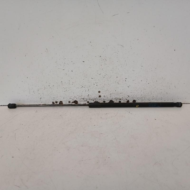 bonnet hinge/strut