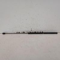 bonnet hinge/strut