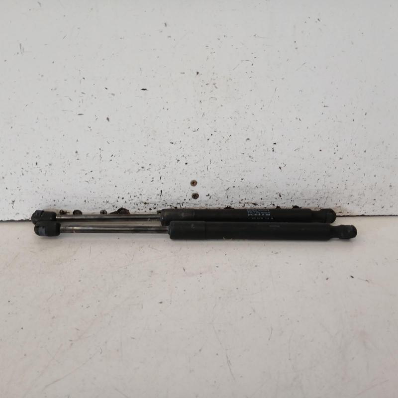 hatch strut