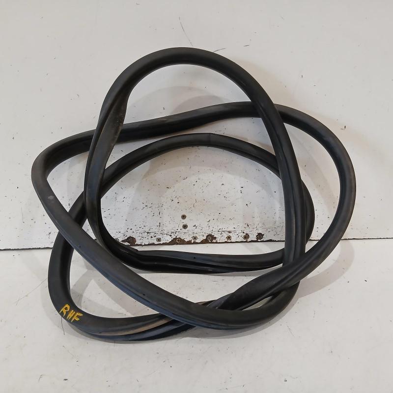 body seal ruber