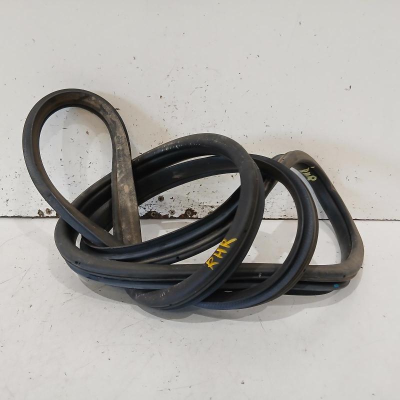 body seal ruber