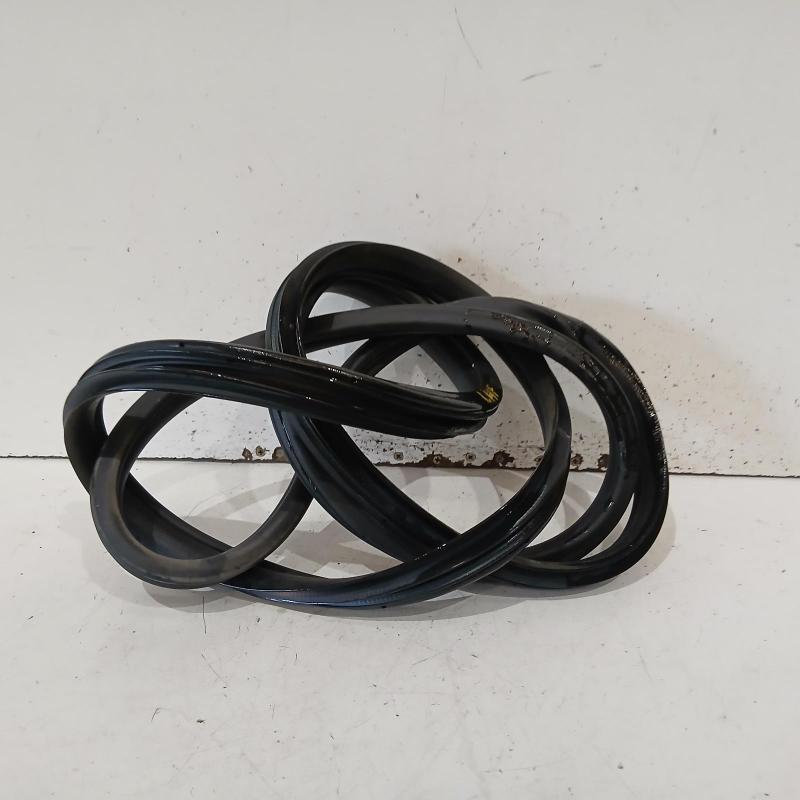 body seal ruber
