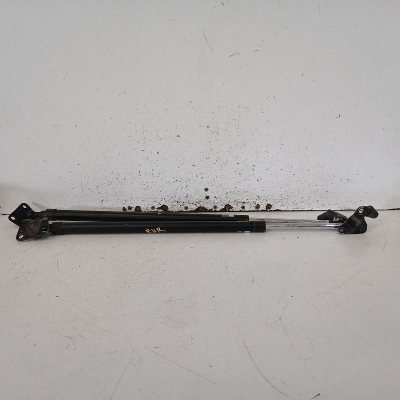 hatch strut