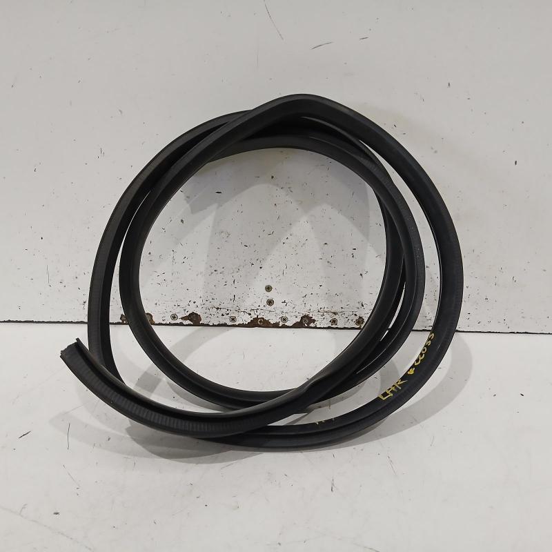body seal ruber