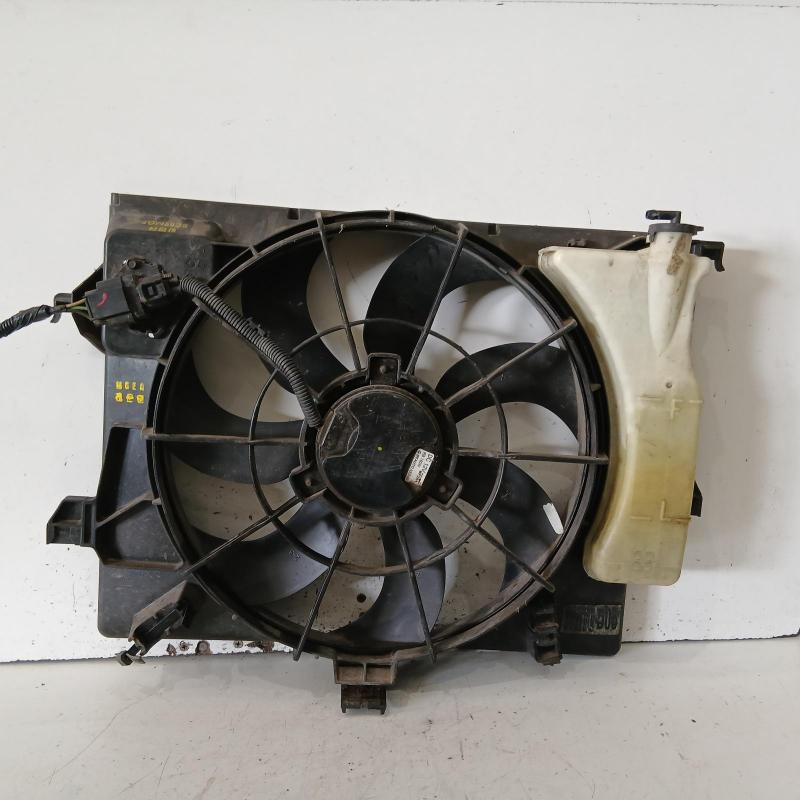 fan