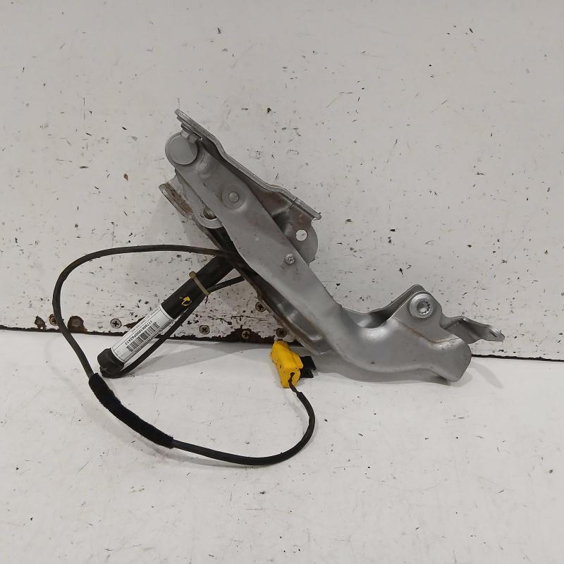 bonnet hinge/strut