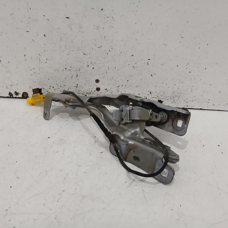bonnet hinge/strut