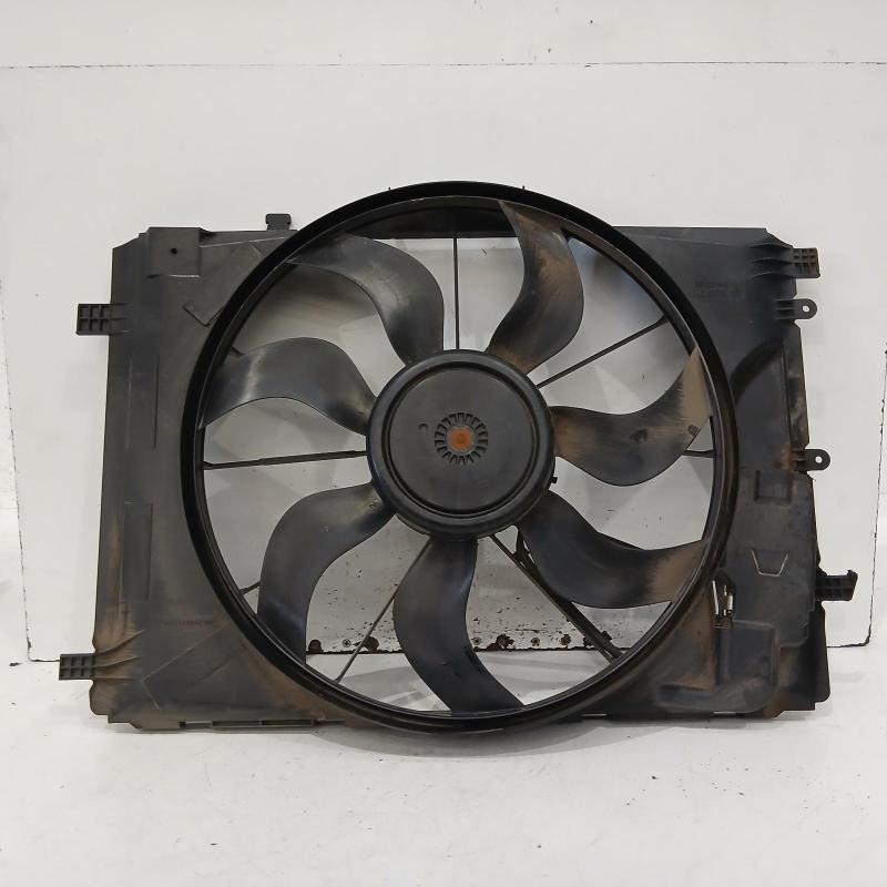 fan