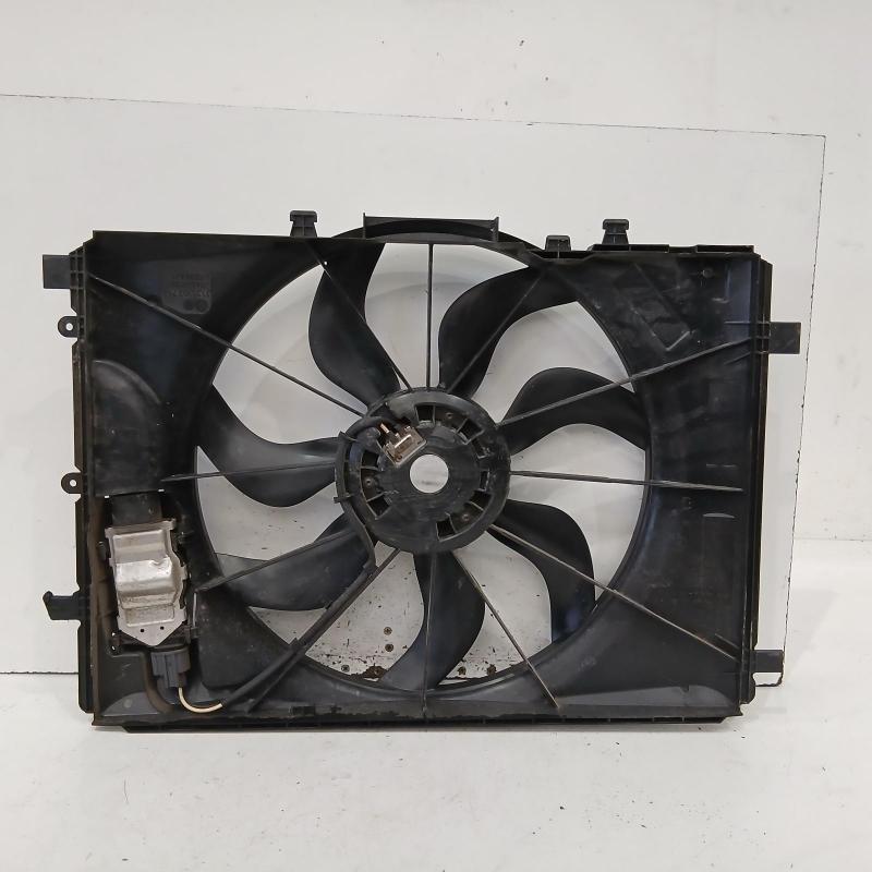 fan