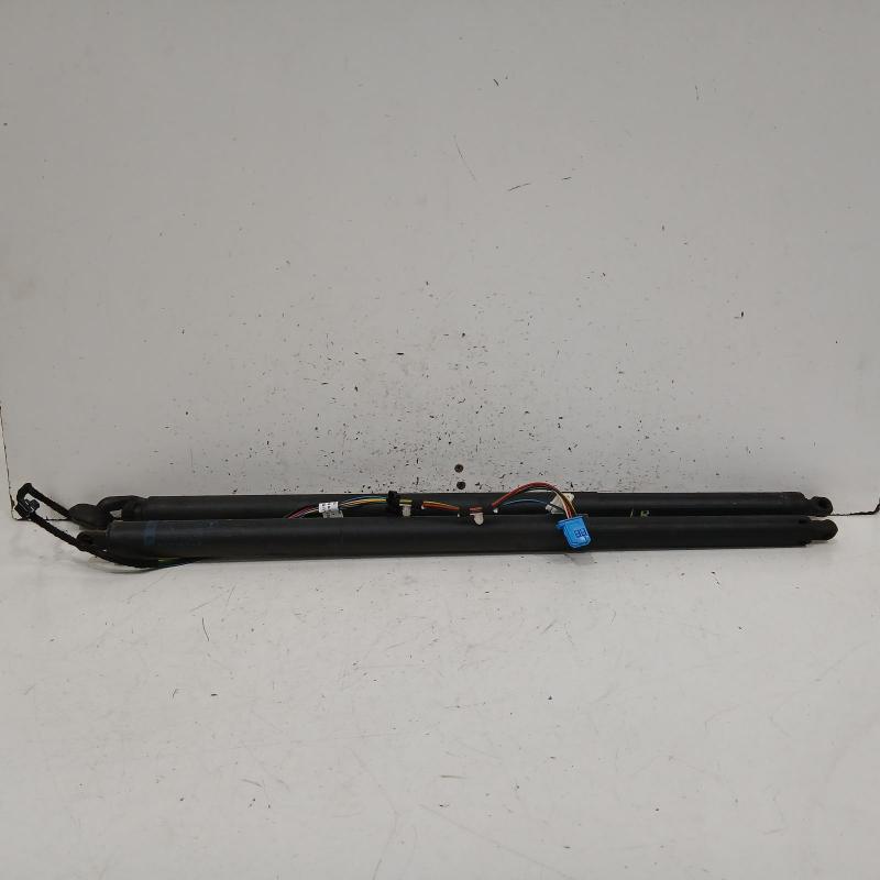 hatch strut