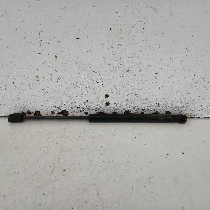 bonnet hinge/strut