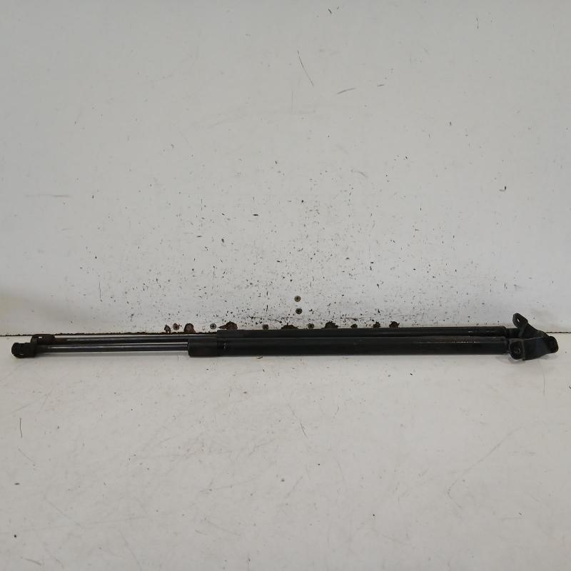 hatch strut