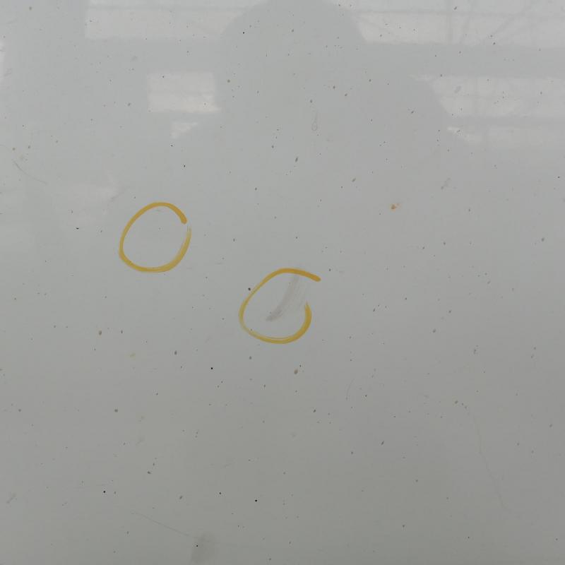 door front left