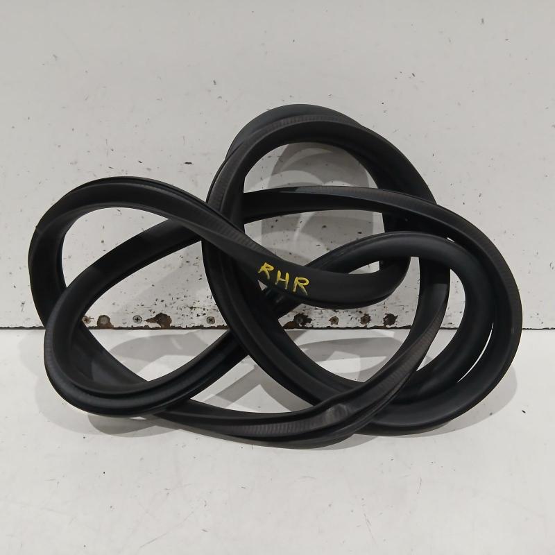body seal ruber