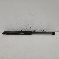 hatch strut
