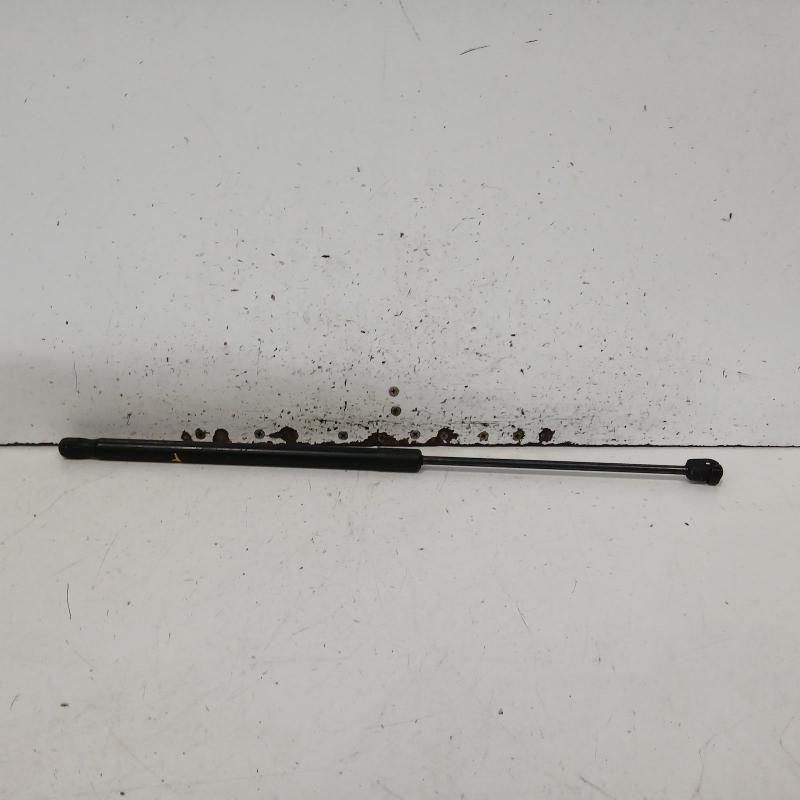 bonnet hinge/strut
