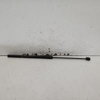 bonnet hinge/strut