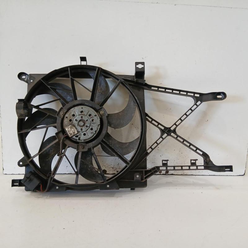 fan
