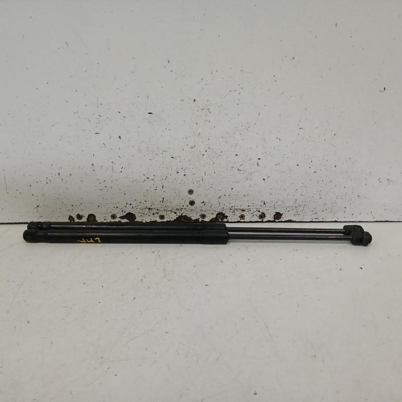 hatch strut