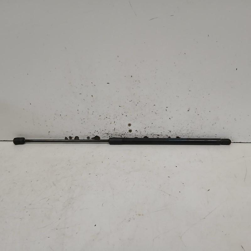 bonnet hinge/strut