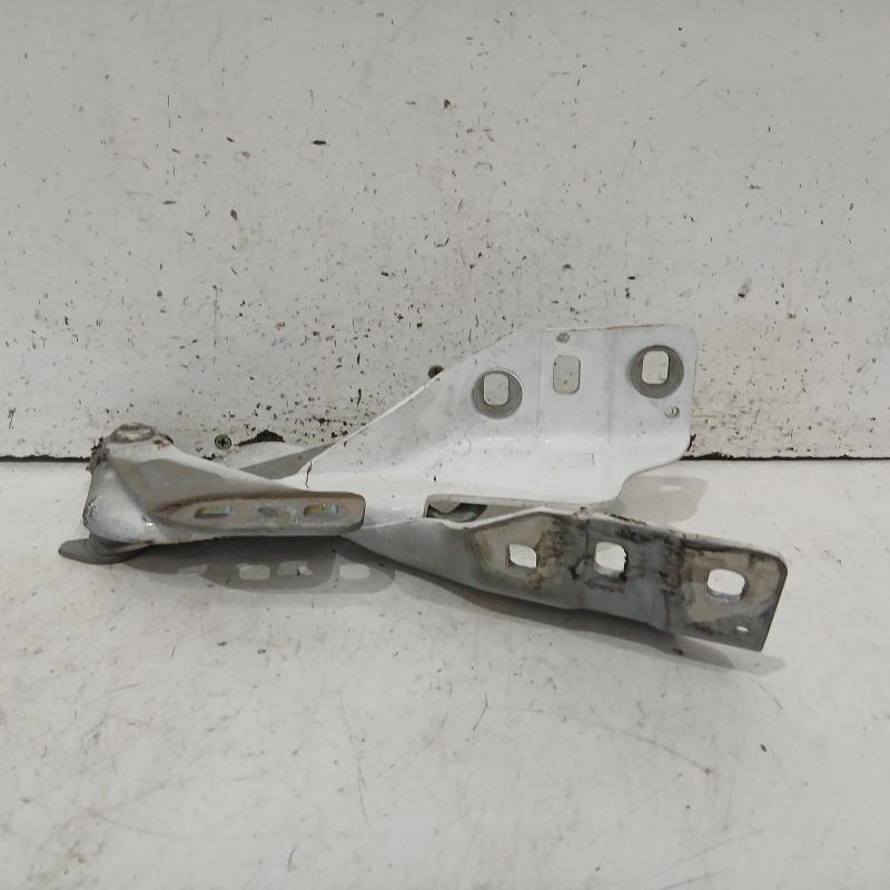 bonnet hinge/strut