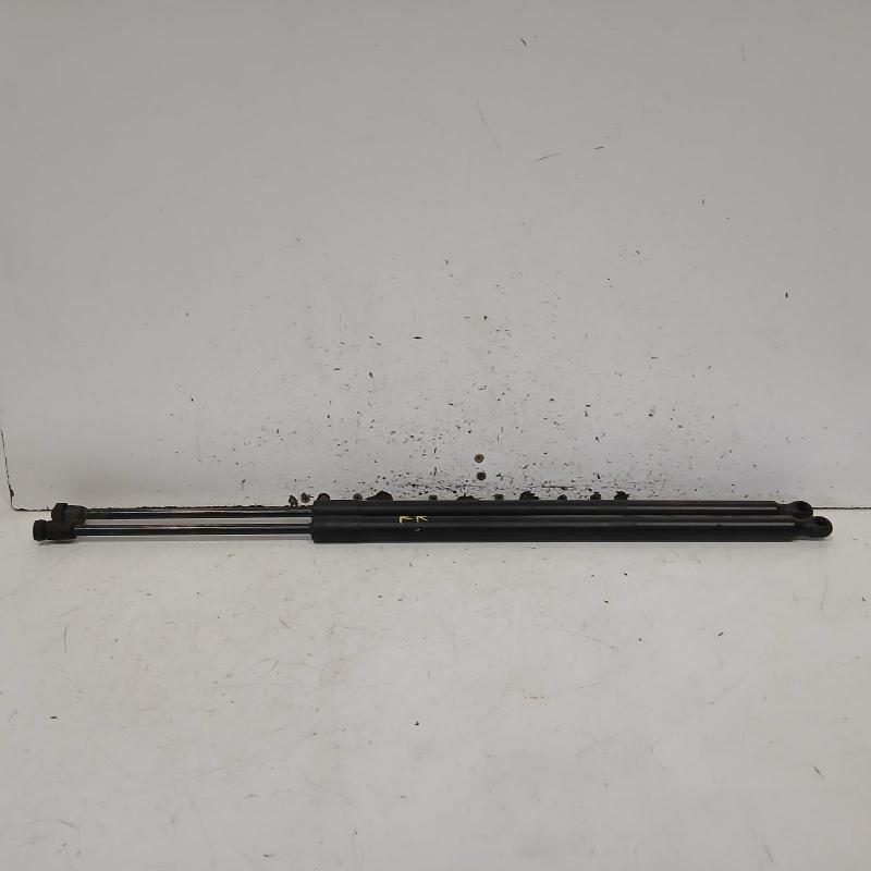 hatch strut