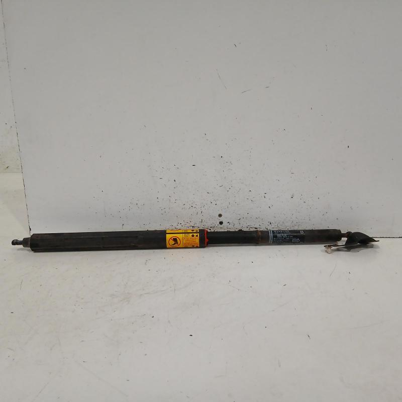 hatch strut